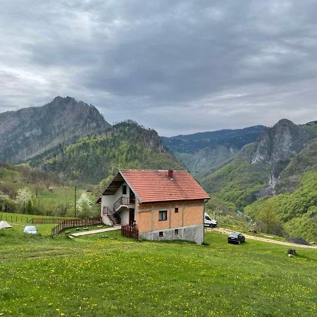 Family Owned Self Sufficient Eco Farm Tara Hotell Pljevlja Exteriör bild
