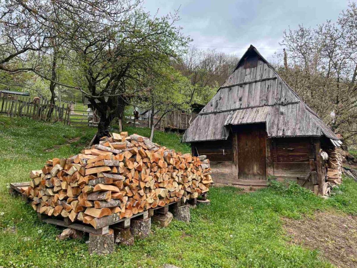 Family Owned Self Sufficient Eco Farm Tara Hotell Pljevlja Exteriör bild