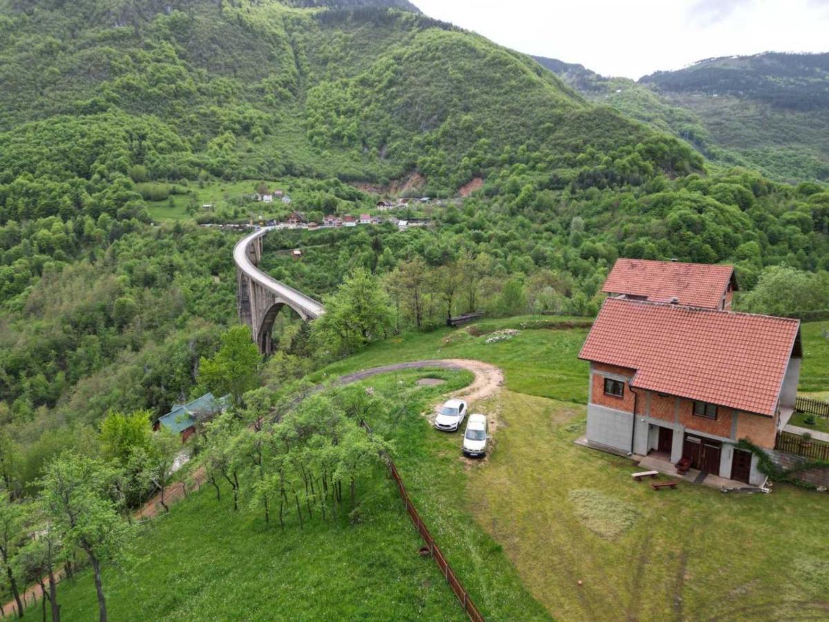 Family Owned Self Sufficient Eco Farm Tara Hotell Pljevlja Exteriör bild