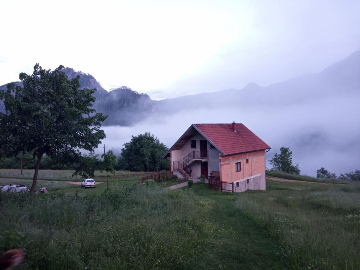 Family Owned Self Sufficient Eco Farm Tara Hotell Pljevlja Exteriör bild