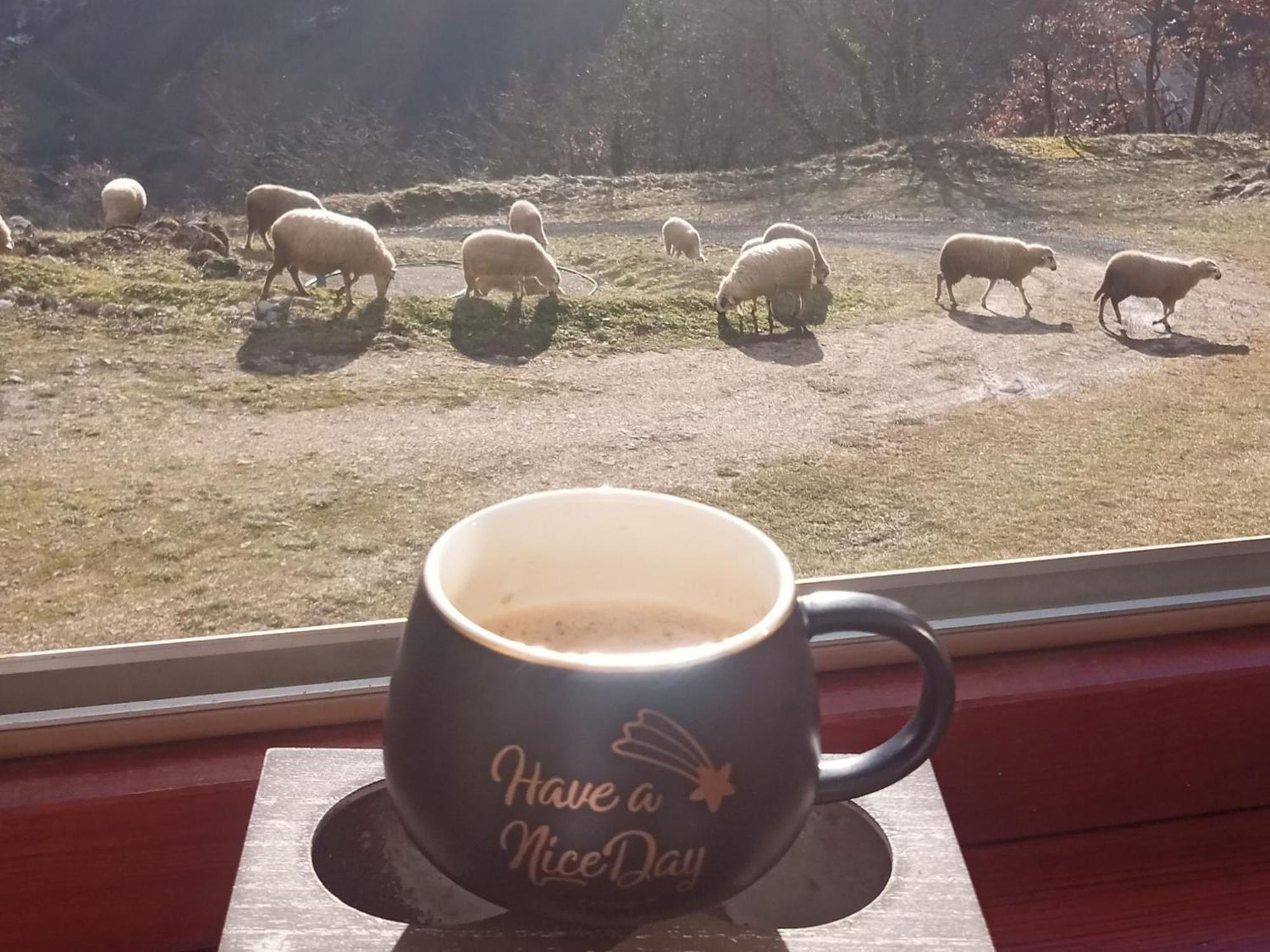 Family Owned Self Sufficient Eco Farm Tara Hotell Pljevlja Exteriör bild
